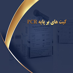 کیت ها بر پایه PCR