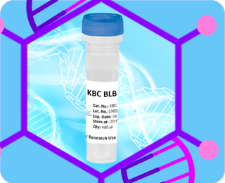 KBC Blood Lysis Buffer